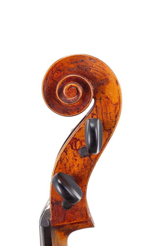 A cello, 21st Century - scroll