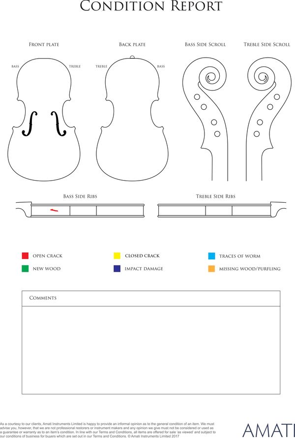 A viola, Workshop of Jérôme Thibouville-Lamy, Mirecourt, circa 1900 - condition report