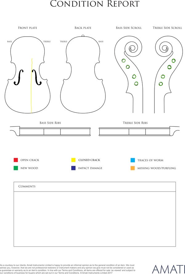 A violin, France, circa 1900 - condition report