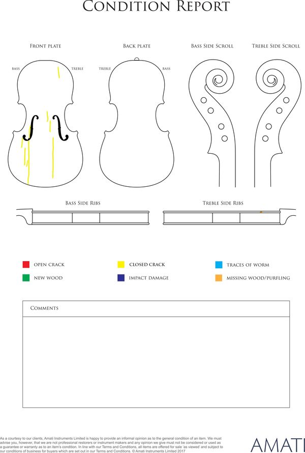 A violin, France, 19th Century - condition report