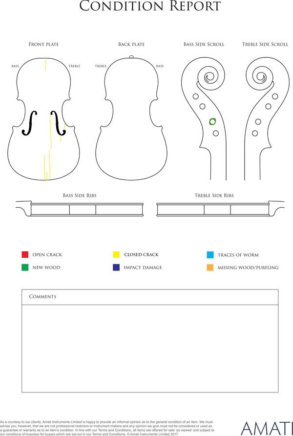 A violin, 19th Century - condition report