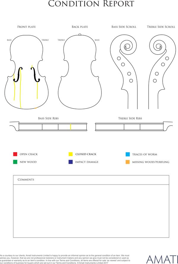 A violin, France, 19th century - condition report