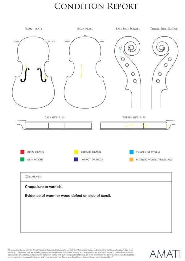 A cello, labelled Thos. Kennedy - condition report
