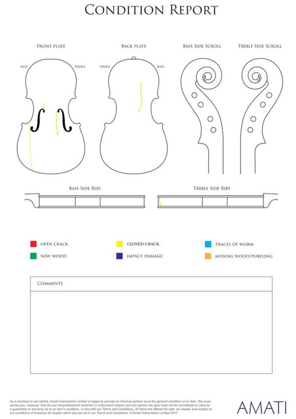A violin, possibly by Gustave Adolphe Bernardel, Paris, 1894 - condition report