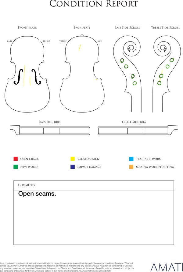 A violin, France 19th century - condition report