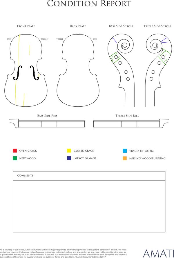 A violin, unlabelled - condition report