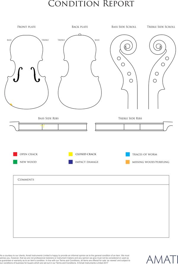 A violin by John Martin, Gateshead, 1880 - condition report