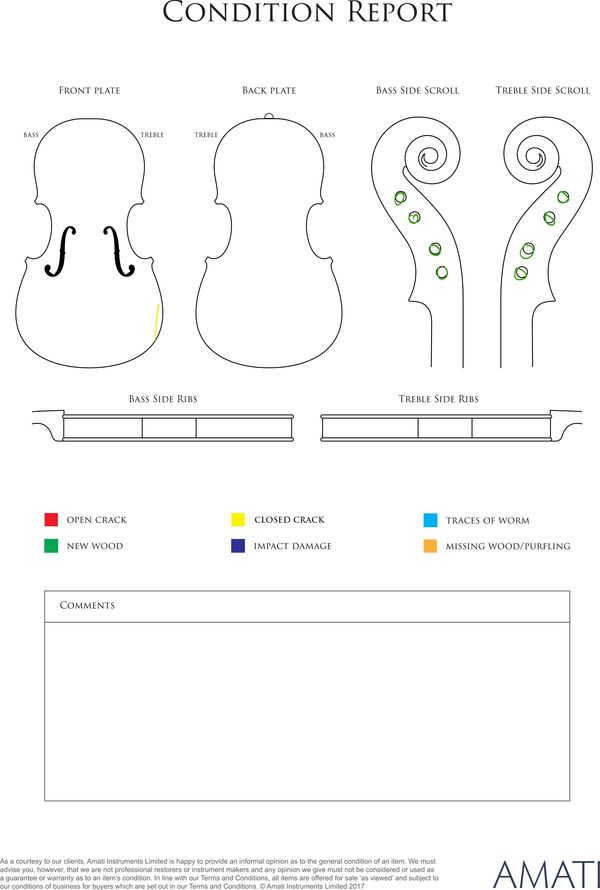 A violin, Germany, 19th century - condition report