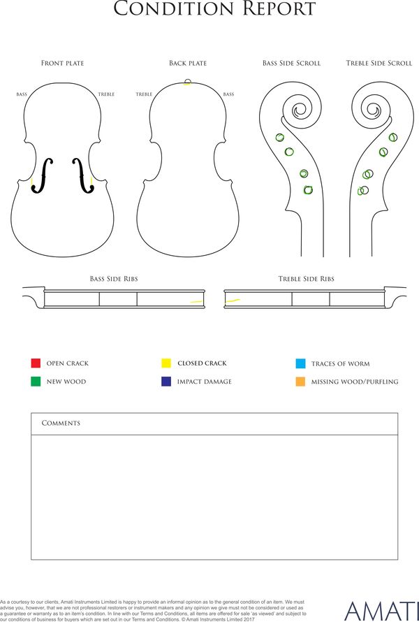 A violin, 19th century - condition report