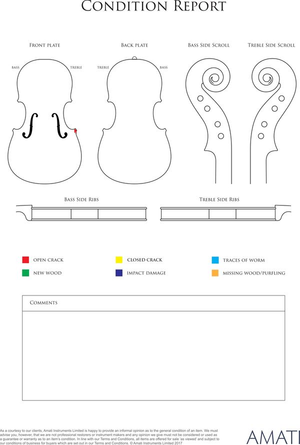 A violin, labelled Skylark - condition report