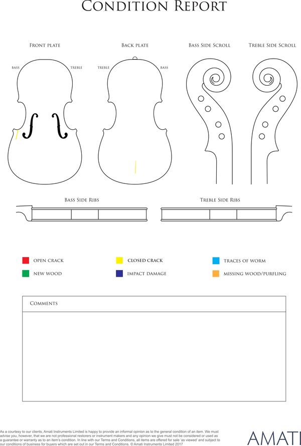 A violin, France, circa 1900 - condition report