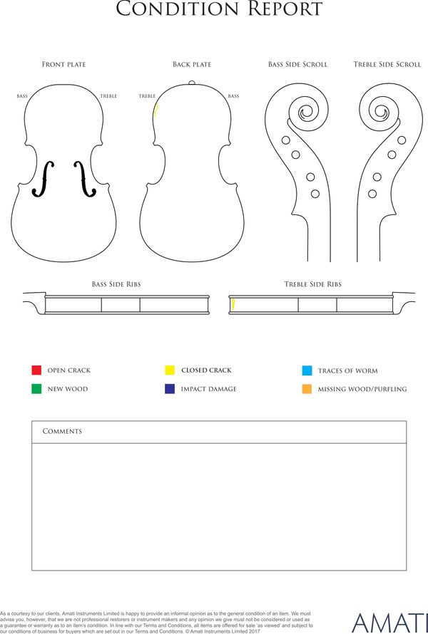 A small violin, labelled The Maidstone - condition report