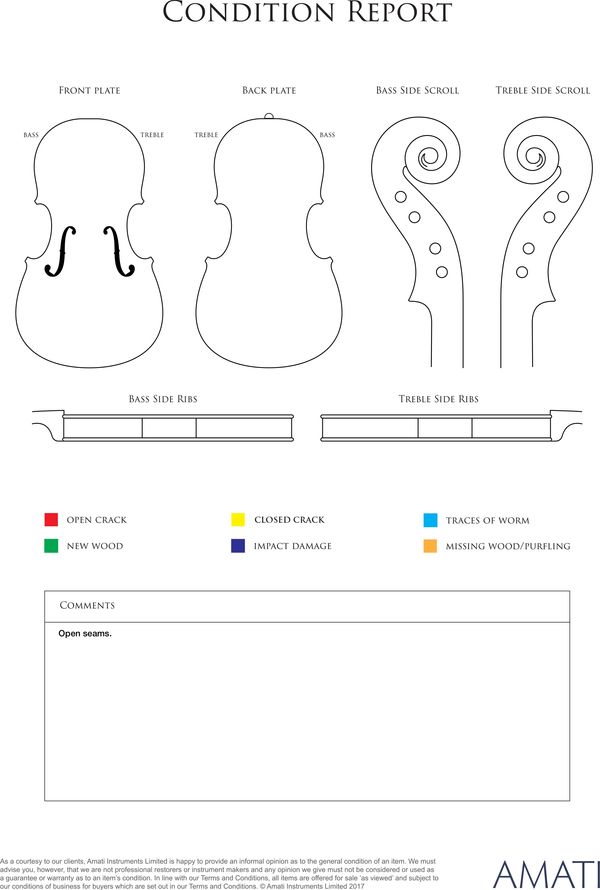 A small violin, labelled Lark - condition report