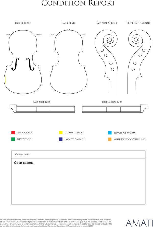 A violin, 19th century - condition report