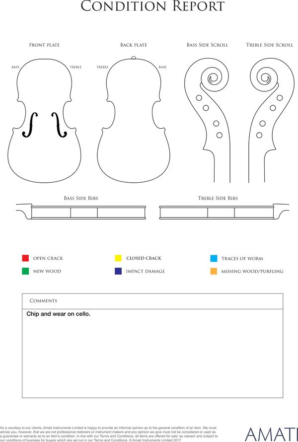A cello, Germany, circa 1900 - condition report