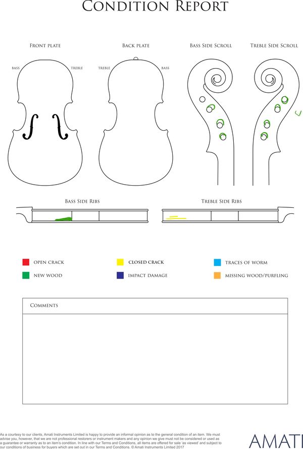 A violin, labelled Carlo Ferdinando Landolfi - condition report