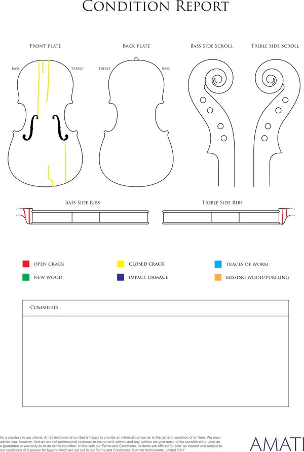 A viola, probably Bohemia circa 1790 - condition report