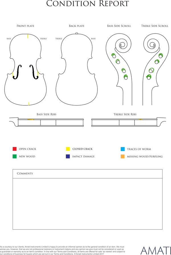A violin, workshops of Henry Thouvenel, Mirecourt circa 1870 - condition report