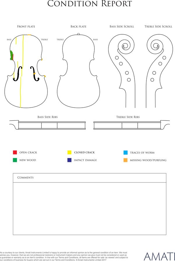 A violin, unlabelled - condition report