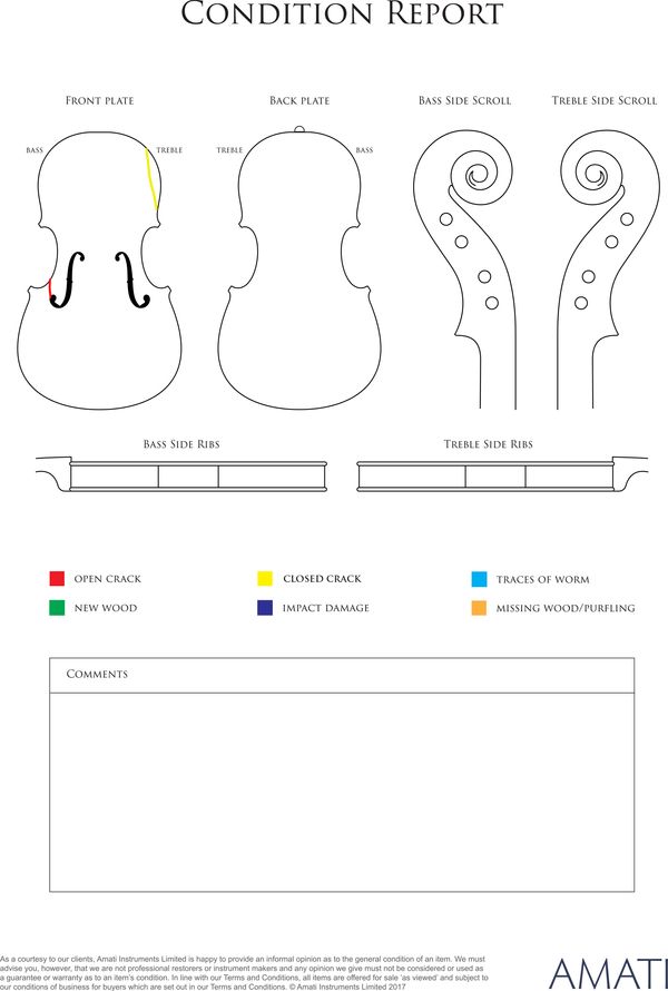 A violin, labelled G. A. Chanot, Manchester 1896 - condition report