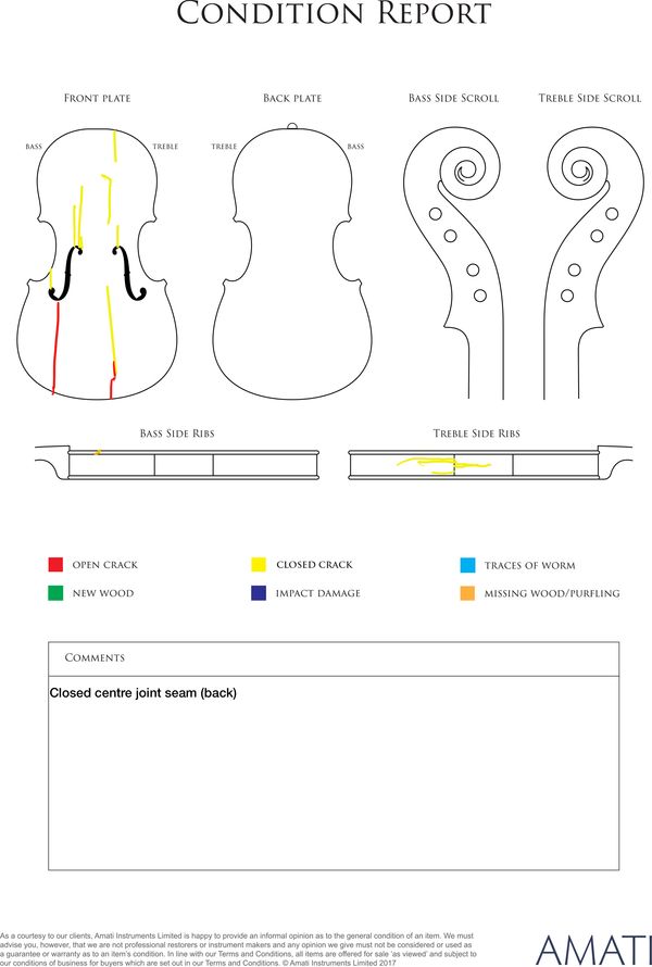 A violin, unlabelled - condition report