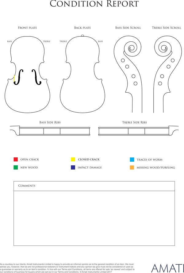A violin, France, 19th Century - condition report