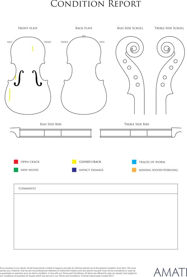 A viola by Dennis G. Plowright, Exmouth, 1995 - condition report