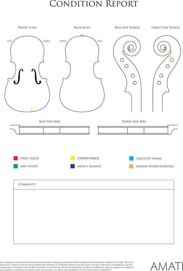 A violin, labelled Salvatore Rossani, Milan, 1924 - condition report