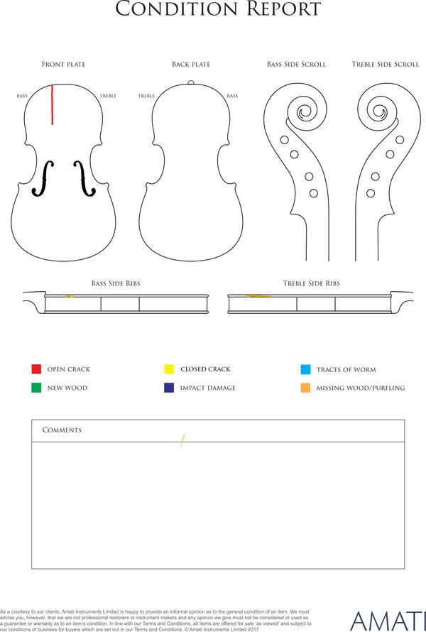 A cello, France, 19th Century - condition report