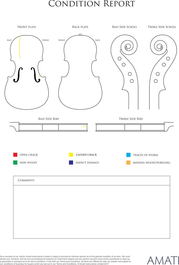 A cello, Germany, 19th century - condition report