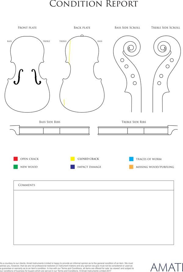 A cello, unlabelled - condition report