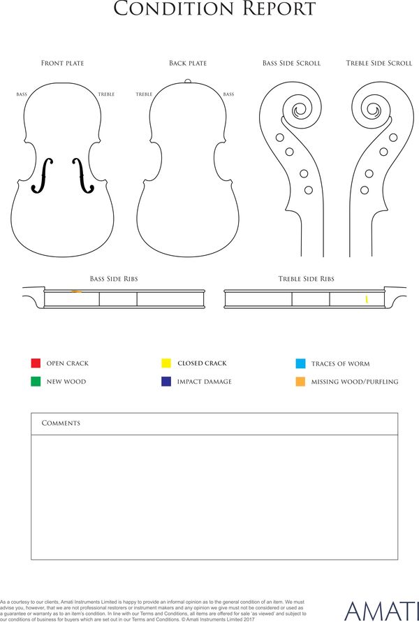 A violin by Joannes Batista Vavra, Prague, 1917 - condition report