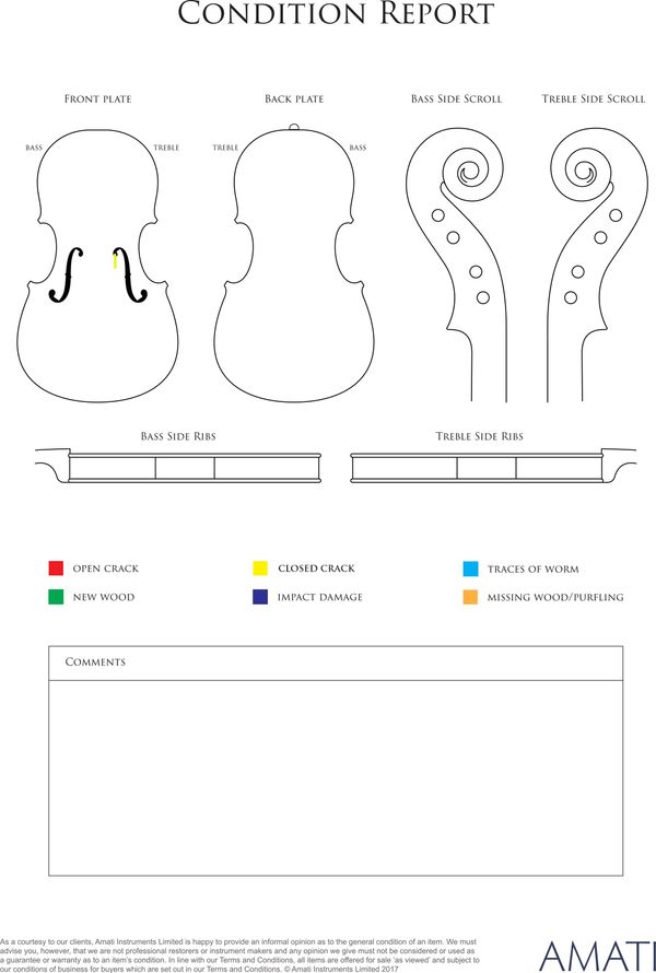 A cello, 21st Century - condition report