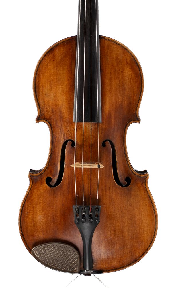 A viola, unlabelled