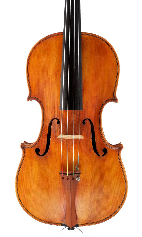 A viola, unlabelled