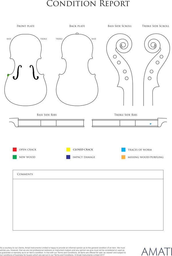 A cello, Germany, circa 1900 - condition report