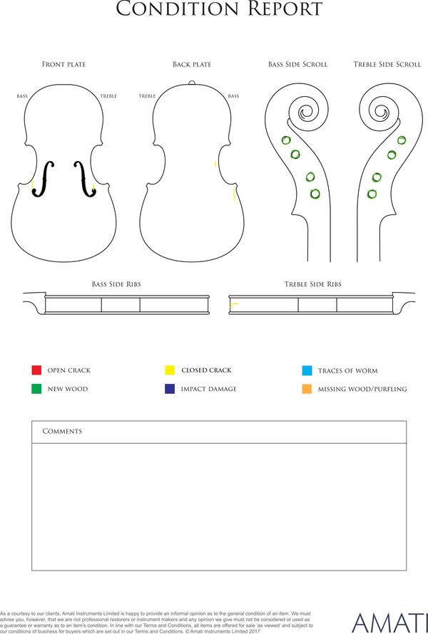 A violin ascribed to Giuseppe Ornati, Milan, 1921 - condition report