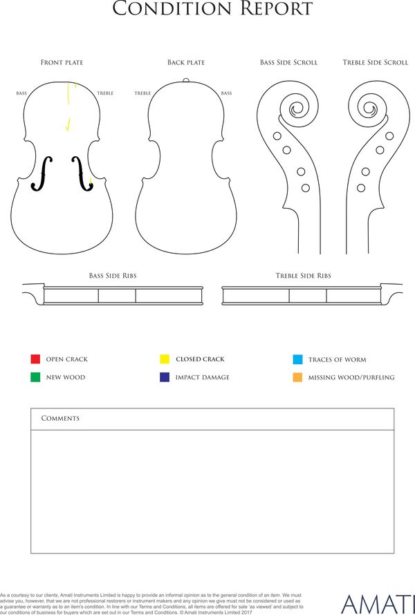 A violin, ascribed to Stefano Scarampella, Mantua, early 20th Century - condition report