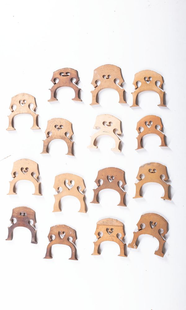 A bundle of twenty-eight cello bridges, varying sizes