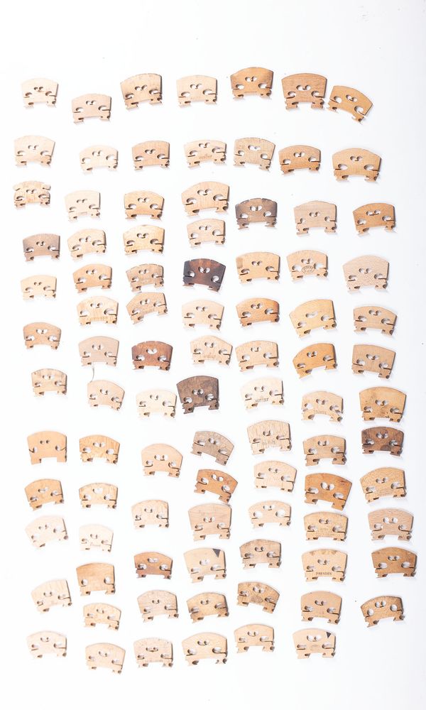 A bundle of one-hundred violin / viola bridges, varying sizes