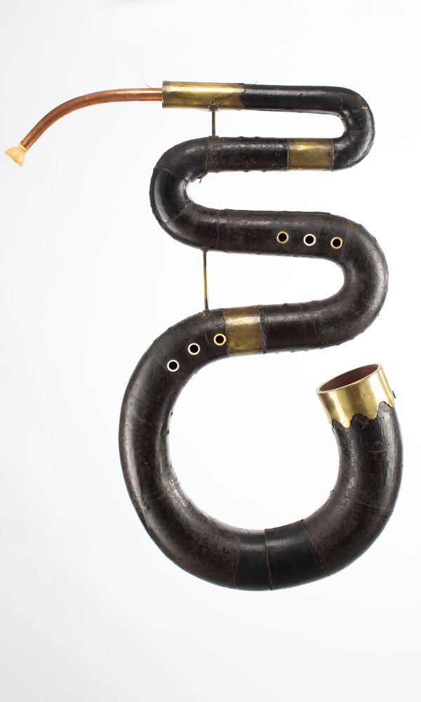 A serpent, unbranded