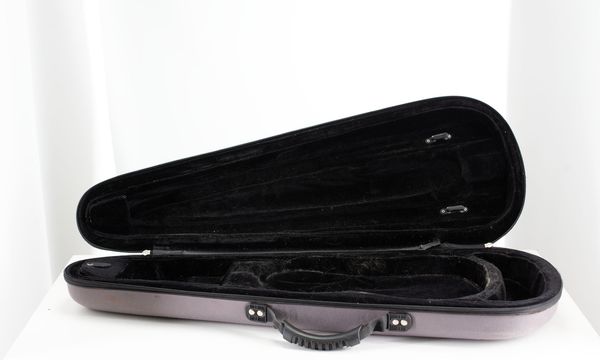 A violin case, unbranded