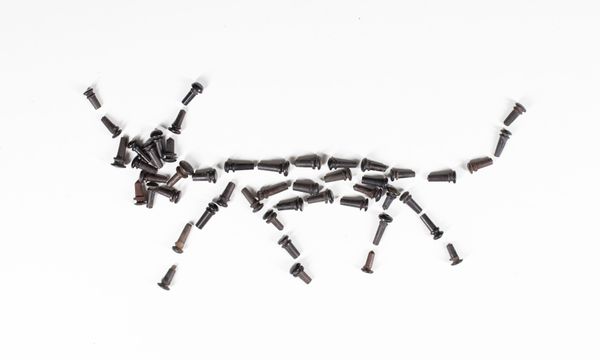 A bundle of forty-eight end pins, varying sizes