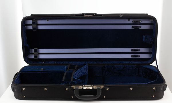 A viola case