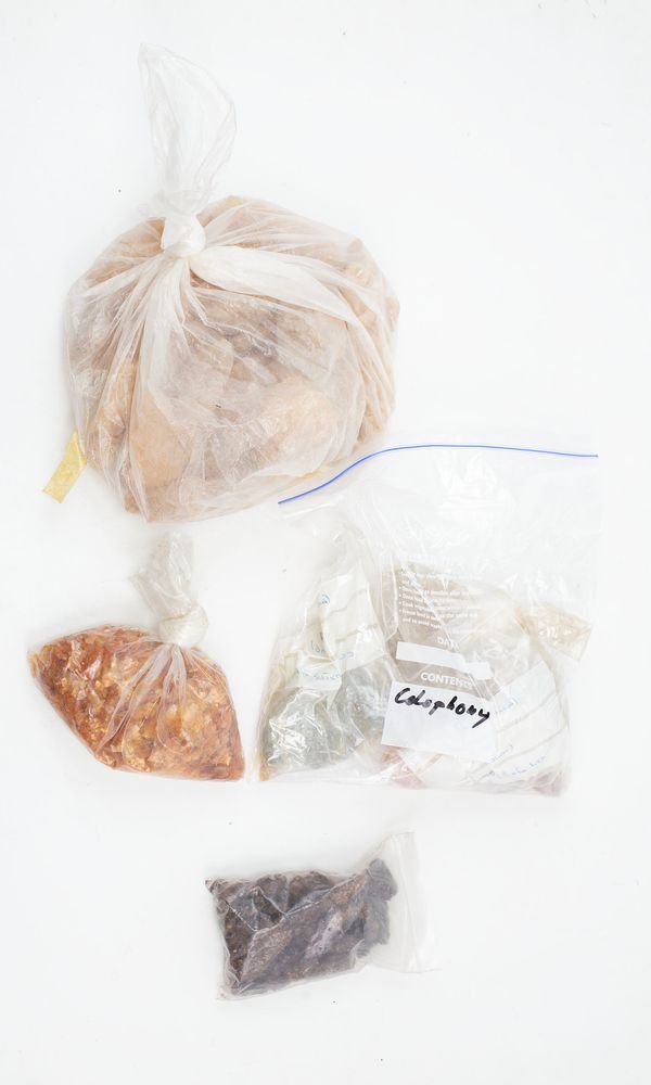 A large quantity of resins including: