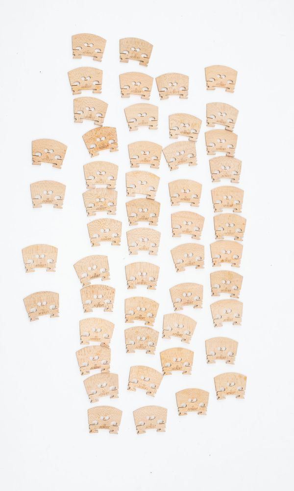 Fifty violin bridges (41.5mm)