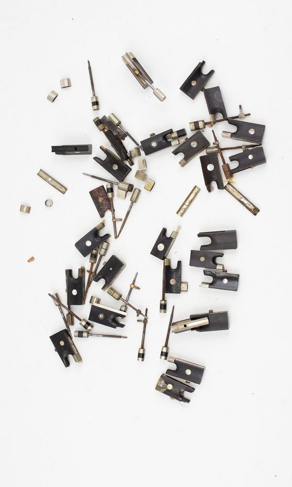 Twenty-four violin frogs