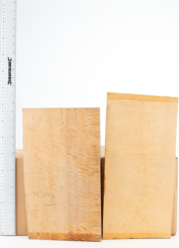 Four violin backs, maple