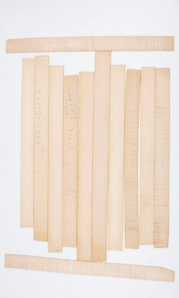 Twelve violin ribs, maple, varying sizes