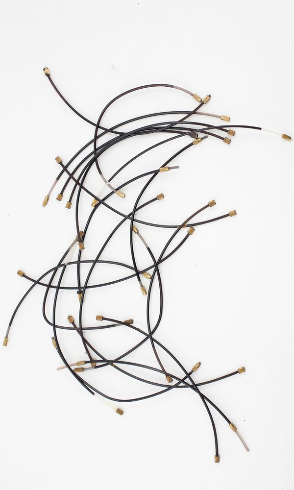 Twenty-five cello tailguts